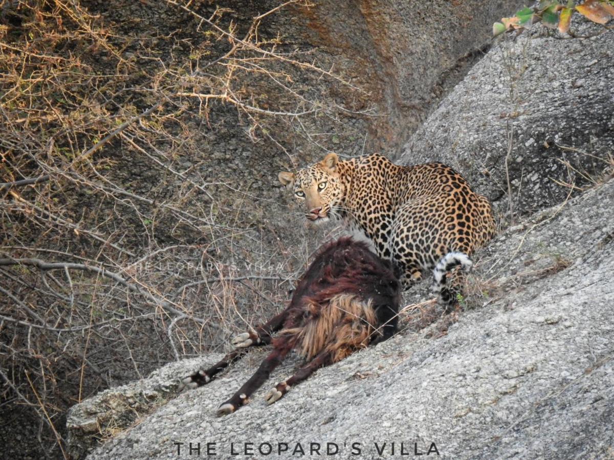 Jawai Leopard Villa Bijapur  Esterno foto