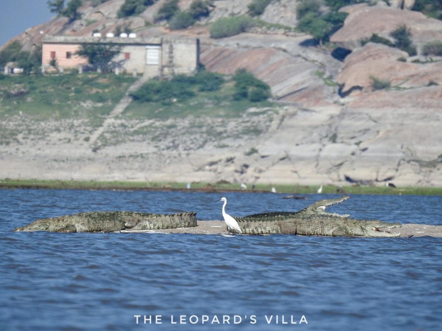 Jawai Leopard Villa Bijapur  Esterno foto