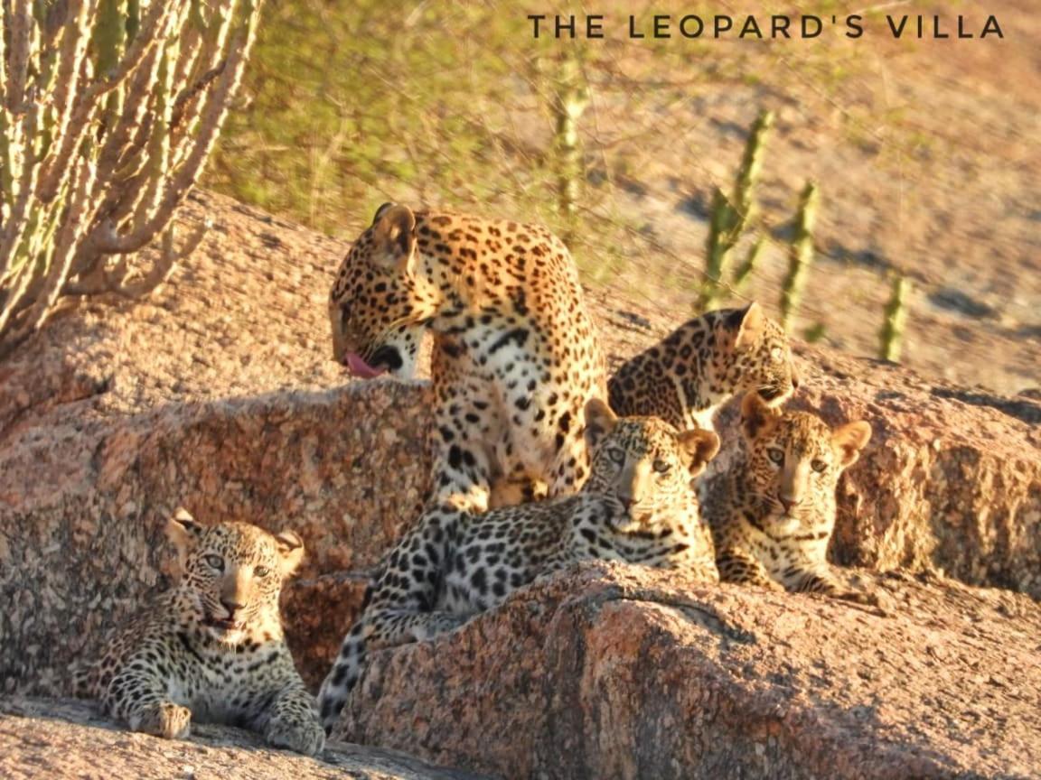 Jawai Leopard Villa Bijapur  Esterno foto